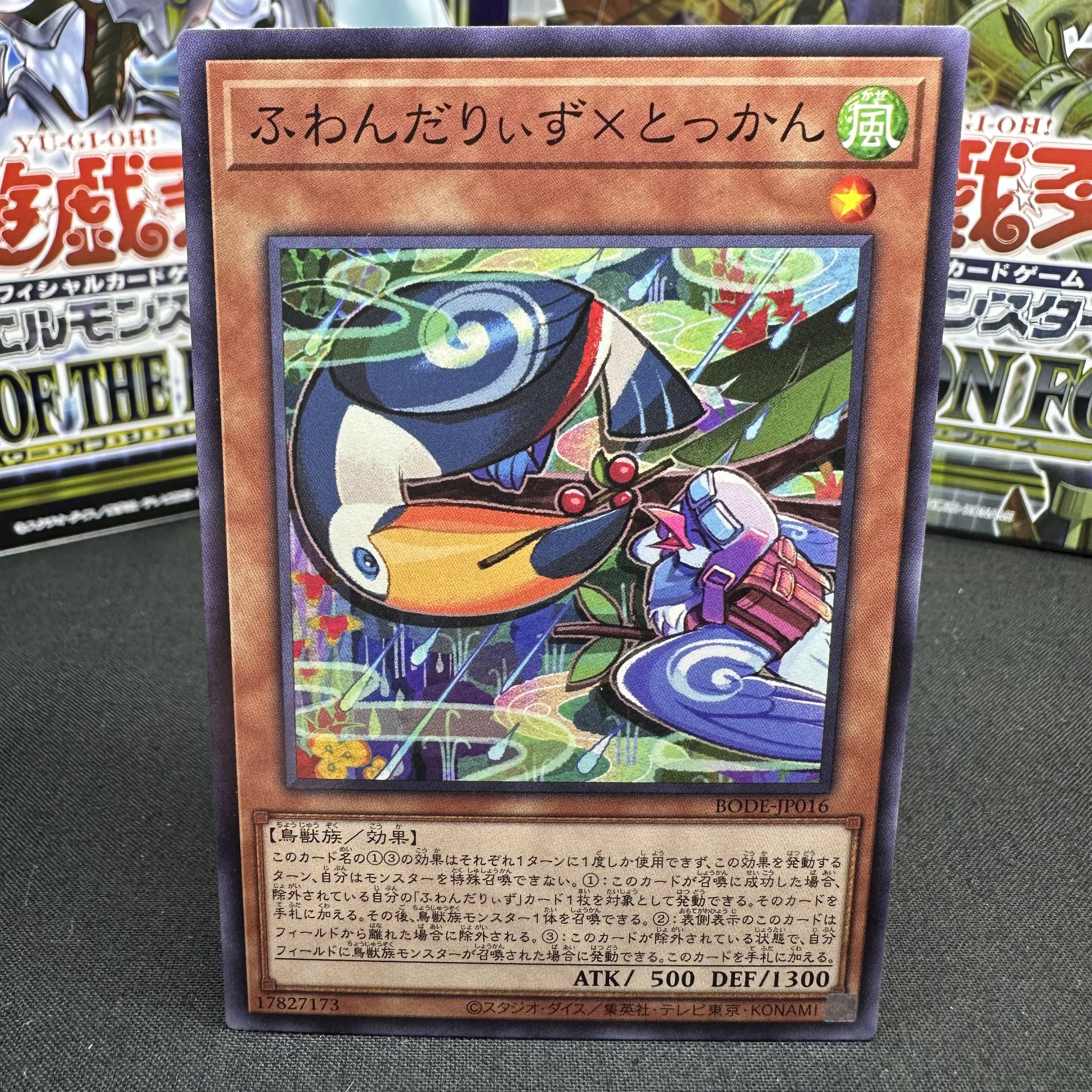 Floowandereeze & Toccan Normal JP016