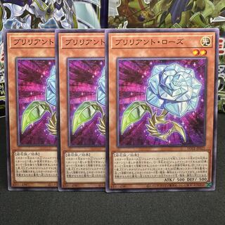 Brilliant Rose Normal JP021