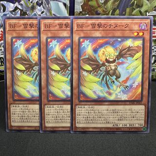 BF-Snow Shooting Chinook Normal JP003