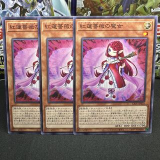 Ruddy Rose Witch Normal JP010