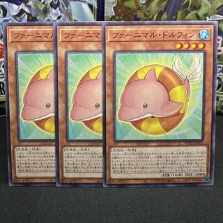 Fluffal Dolphin Normal JP021