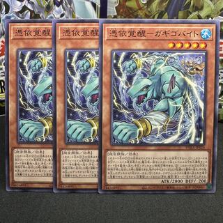 Awakening of the Possessed-Gigobyte Normal JP020