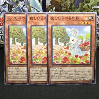 花と野原の春化精 ノーマル JP018