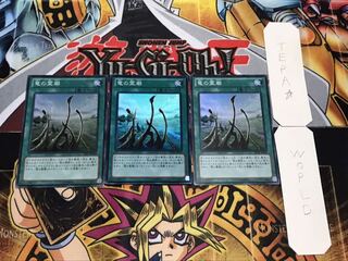 竜の霊廟 スーパー 3枚セット