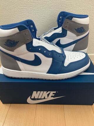 Nike Air Jordan 1 High OG "True Snubbull" True Snubbull/Ho Wight/Cement Grey DZ5485-410 28.5cm