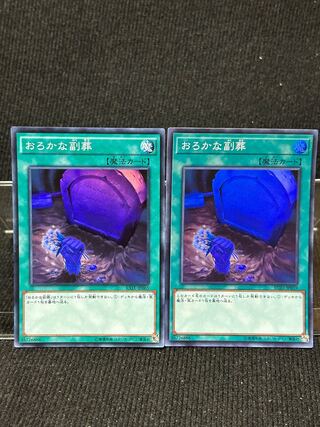 Foolish Burial Goods Super Rare JP039 2 [293].