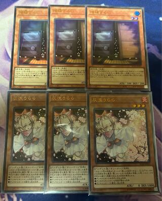 Ash Blossom & Joyous Spring Maxx "C" 3 Ultras