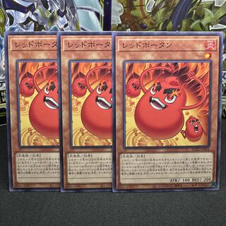 レッドポータン ノーマルレア JP034