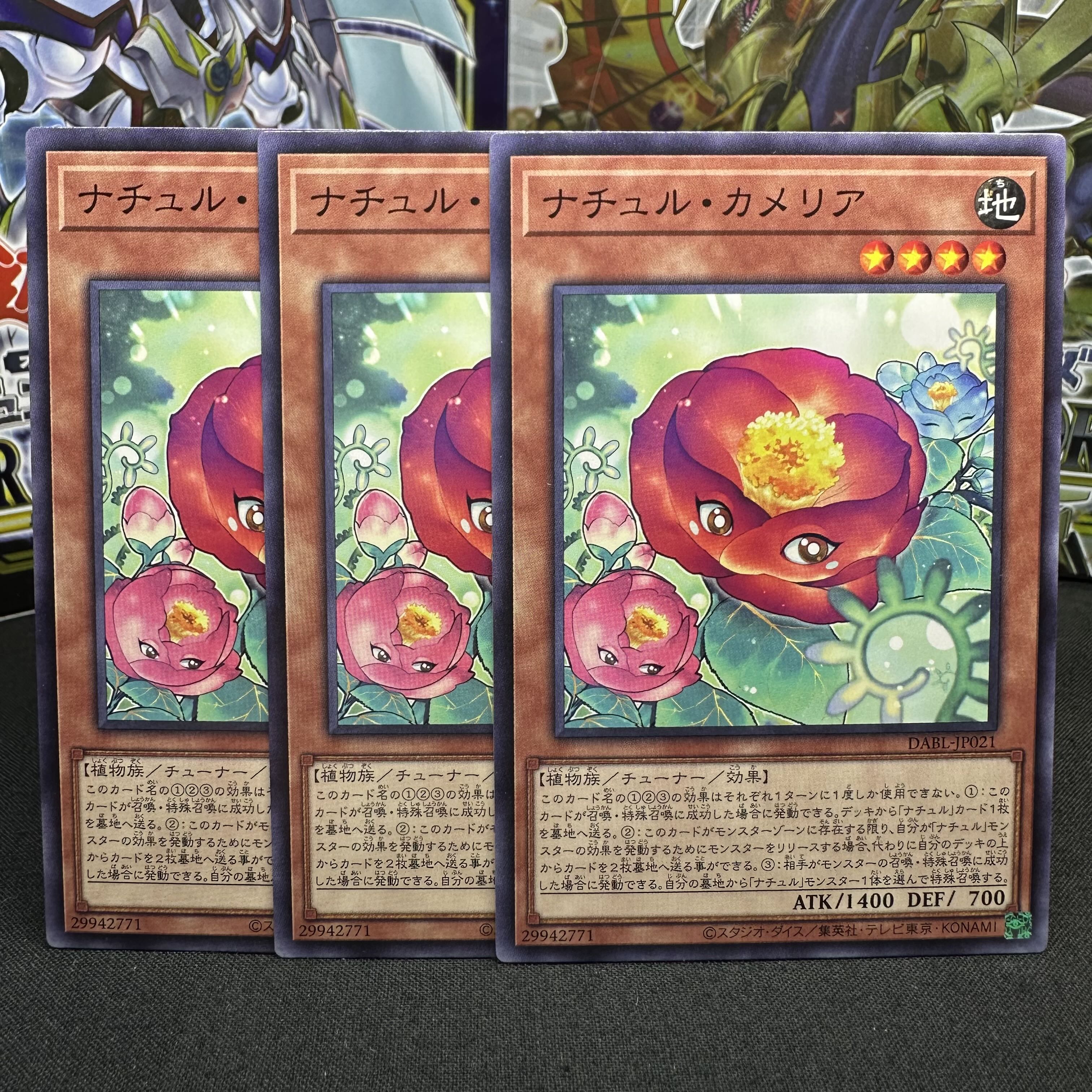 Nature Camellia Normal JP021