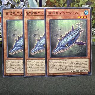 Gluttonous Reptolphin Greethys Normal JP027