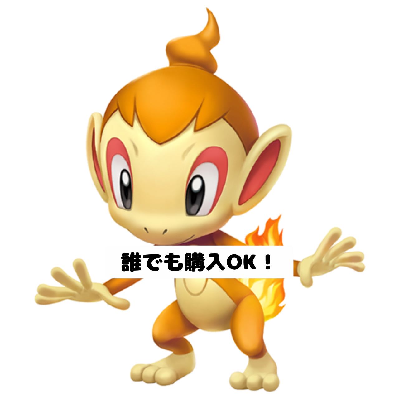 【救済措置編】ヒコザル