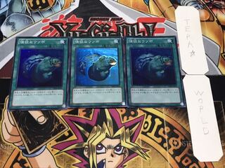 強欲なウツボ スーパー 3枚セット