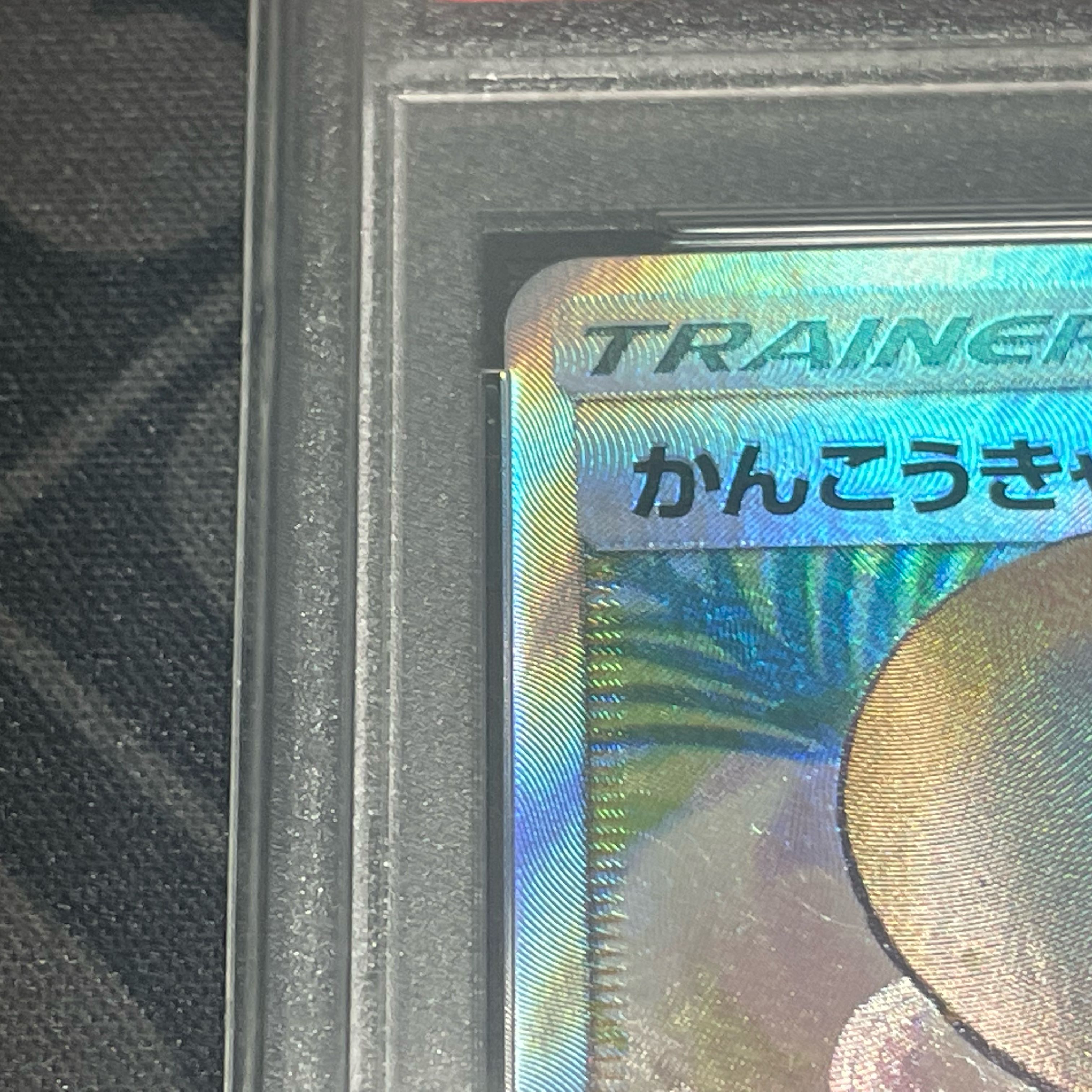 PSA10] Sightseer SR 192/173