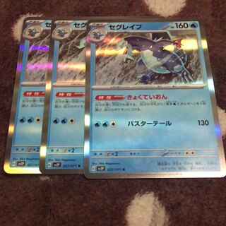 セグレイブ R 027/071