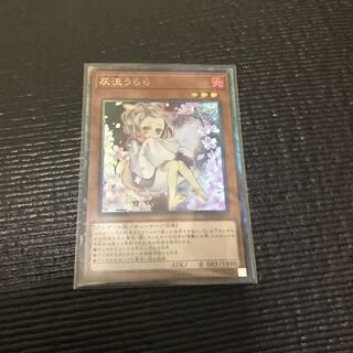 灰流うらら　コレクターズレア