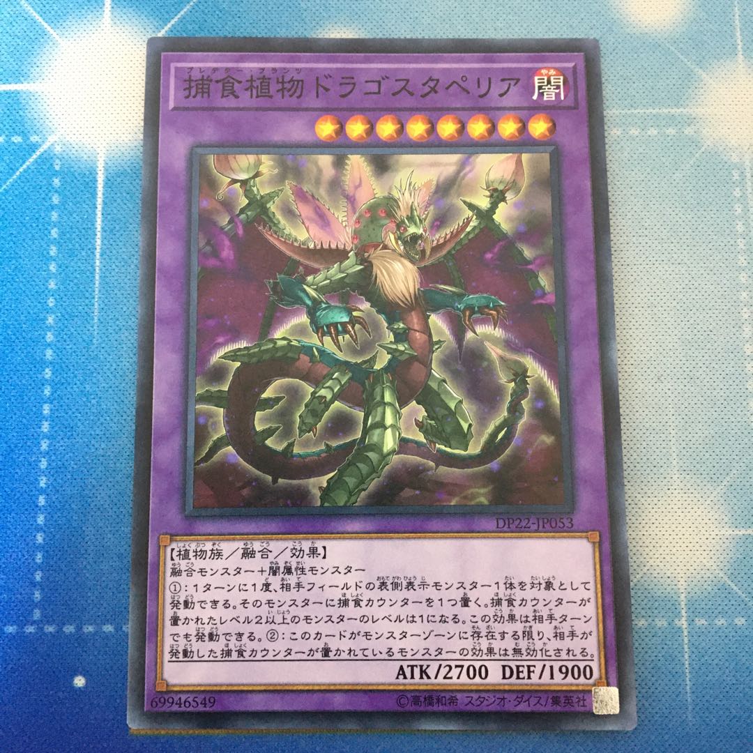 捕食植物ドラゴスタペリア