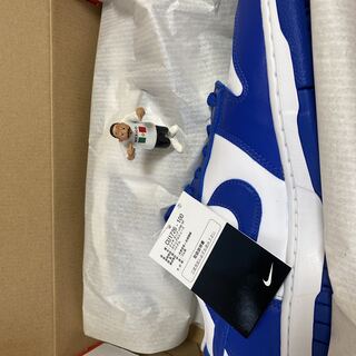 Nike Dunk Low "Kentucky" Varsity Royal CU1726-100 28.5cm