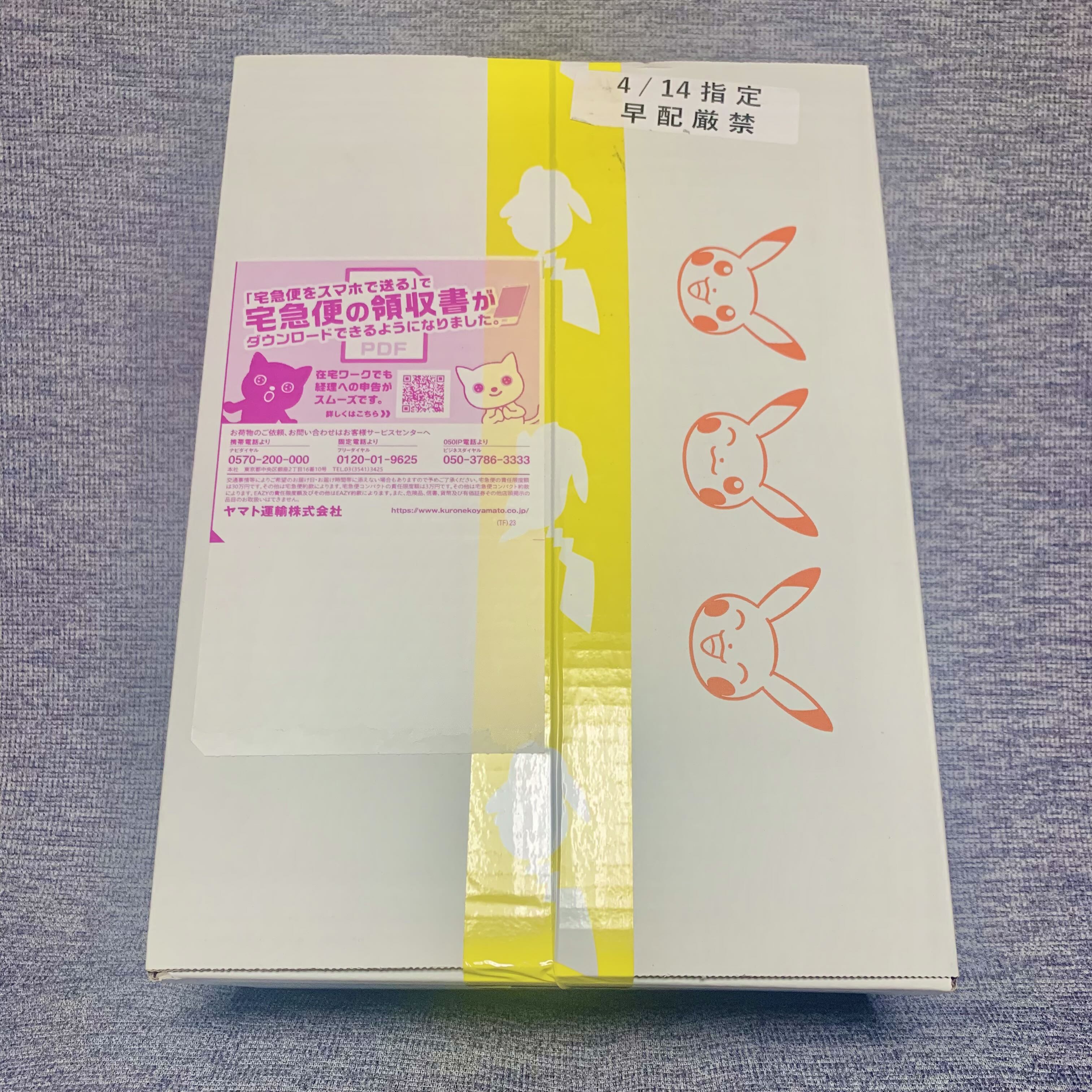 Pokemon Card Game Snow Hazard & Clayburst Pokemon Center Gym Set Nanjamo Set