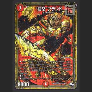 "Punishment rage" brand [Plaid] MAS Secret 1/Managed by MD0612