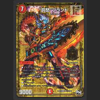 "Punishment rage" brand [Plaid] MAS Secret 2/Control: MD0613