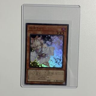 Ash Blossom & Joyous Spring Ultra Rare