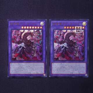 Grand Guignol Ultra, the Lost Dragon, set of 2 /Managed by MY1092