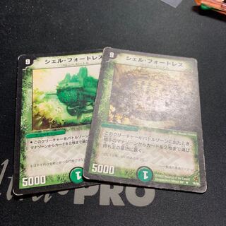 シェルフォートレス