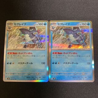 セグレイブ R 027/071