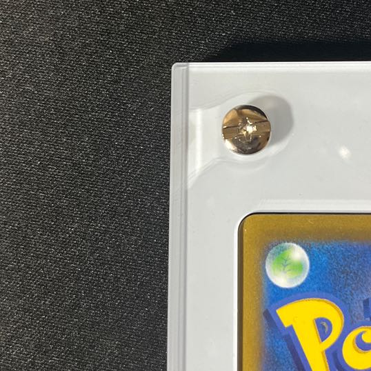 Acerola's Foresee SR 255/184 *frame included