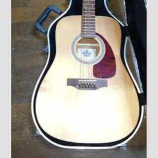 カナダ産12弦ギター　ハードケース付きます