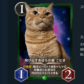 飛び出すあぽろの猫 こむぎ