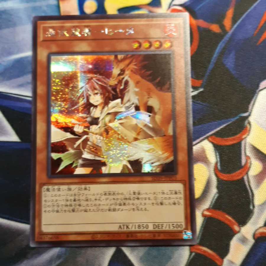 憑依装着-ヒータ シク