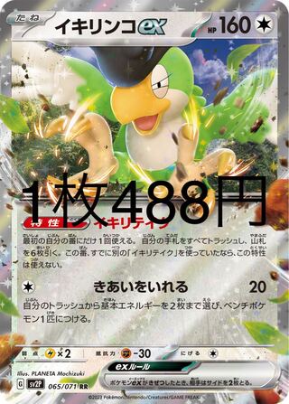 イキリンコex RR 065/071