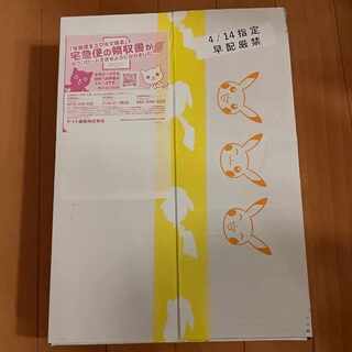 Exclusive to Eels Pokémon Card Snow Hazard & Clayburst Gym Set Nanjamo Set