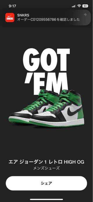 Nike Air Jordan 1 Retro High OG "Black and Chansey Green" (2023) DZ5485-031 28.5cm