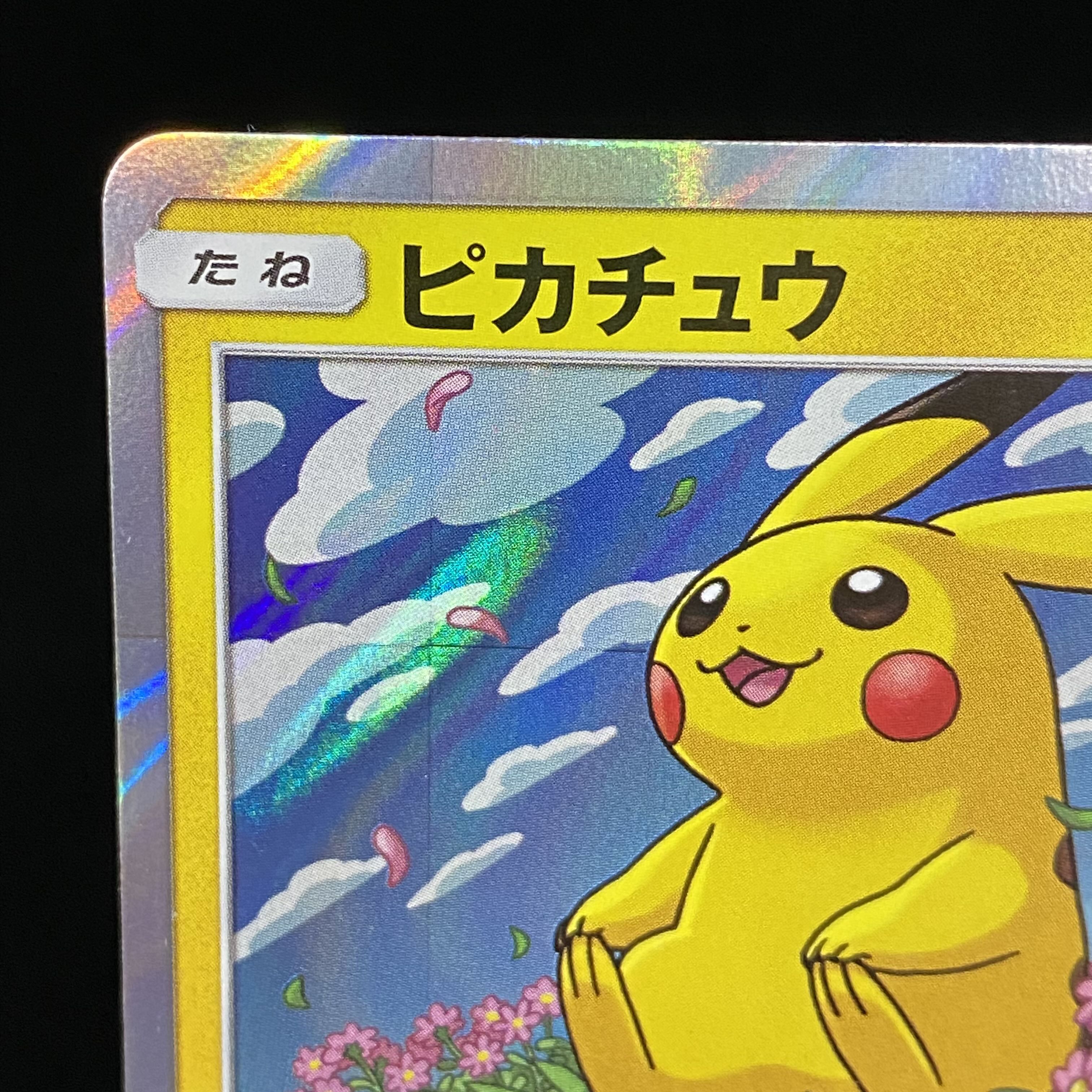 Pikachu Promo 276/SM-P (Used) （1644766978）| magi -TCG
