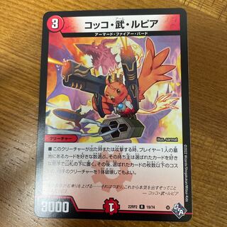 Cocco Bu Lupia R 19/74