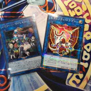 SE アカシック・マジシャン セキュリティ・ドラゴン PN