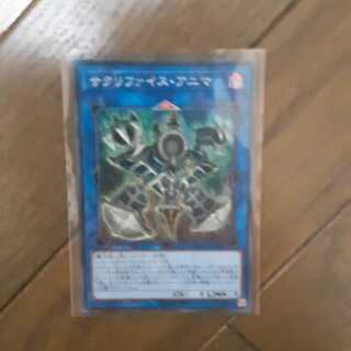 サクリファイスアニマ