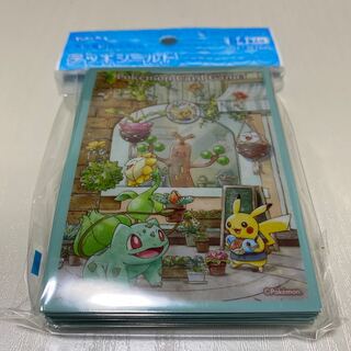 Deck Shield Pokemon Grassy Gardening