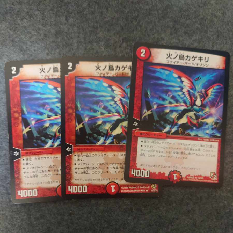 Fire No Torikagekiri R 16/55/Y8