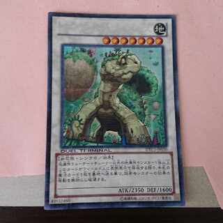 遊戯王 ナチュルランドオルス シークレット DTC