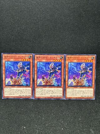 Beautiful technique of the rock band - Xenogitum rare JP025 3 [306].