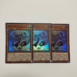 Nuru Super Rare JP001