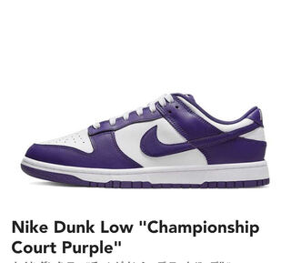 Dunk Championship Coat Purple 27.5cm