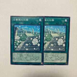 White Rose Cloister Normal JP011