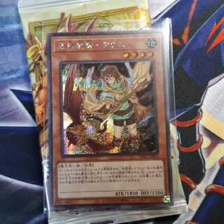 憑依装着-アウス　シク