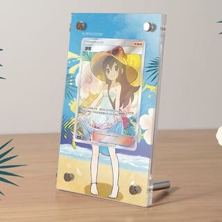 ポケモン　かんこうきゃく拡張画アクリルフレーム