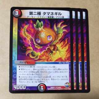 Type 2 Onion 4 pieces