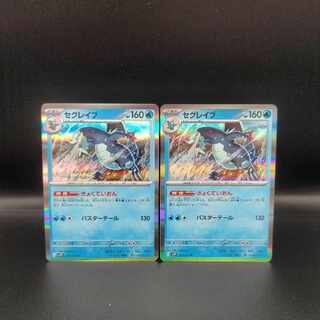 セグレイブ R 027/071